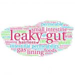 leaky-gut-hair-loss